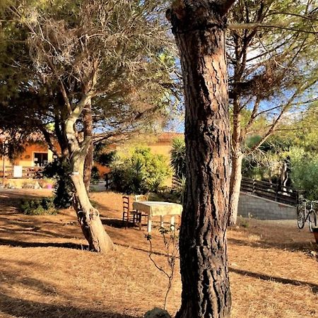 Il Lentischio Del Sinis Villa Putzu Idu Dış mekan fotoğraf