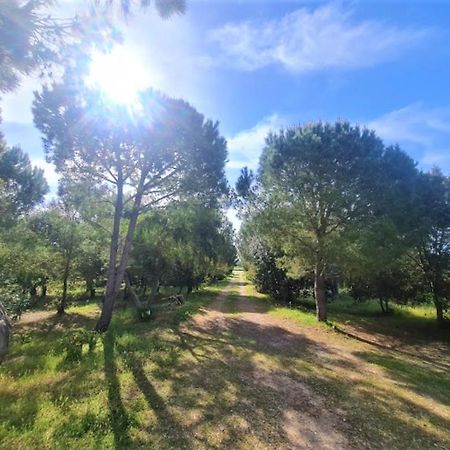 Il Lentischio Del Sinis Villa Putzu Idu Dış mekan fotoğraf