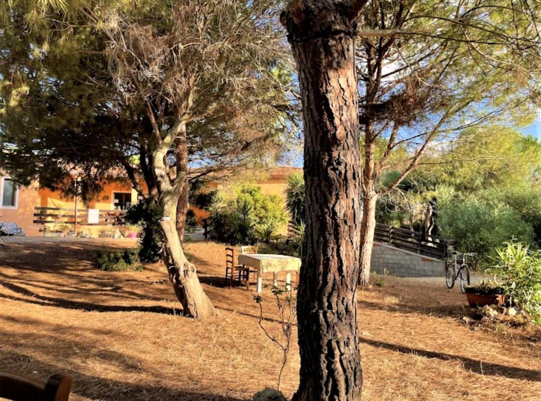 Il Lentischio Del Sinis Villa Putzu Idu Dış mekan fotoğraf