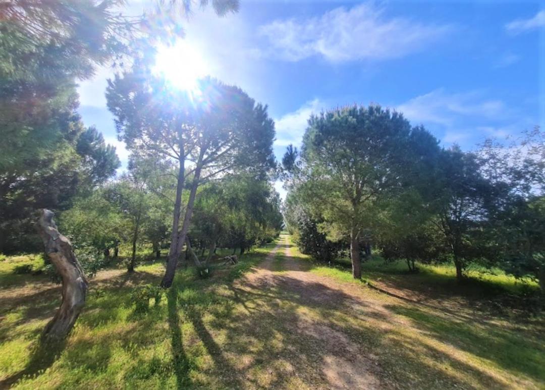 Il Lentischio Del Sinis Villa Putzu Idu Dış mekan fotoğraf